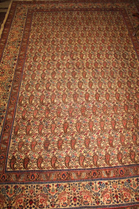 Kashan rug 3.10 x 2.10